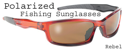 Polarized Fishing Glasses